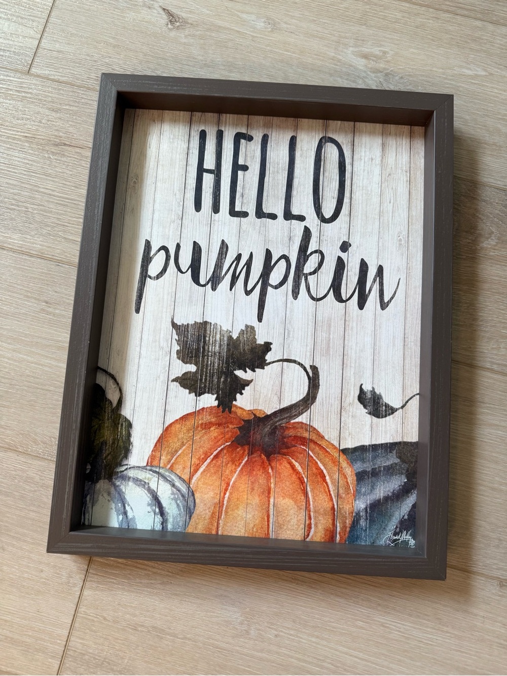 Fall & Halloween & Thanksgiving “Hello Pumpkin” Wall Art